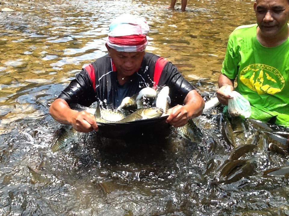 BERI MAKAN IKAN